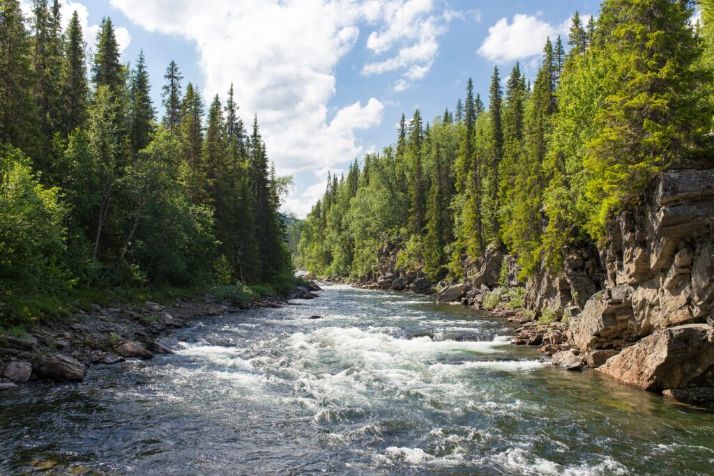 Rivière